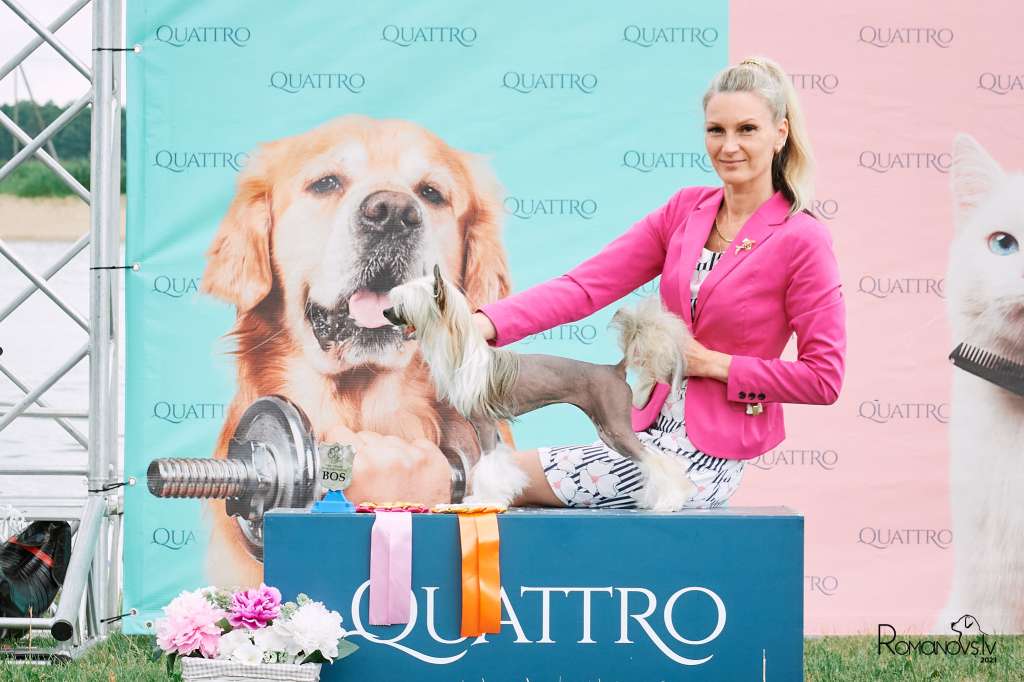 Zheneva Debjut Rumba