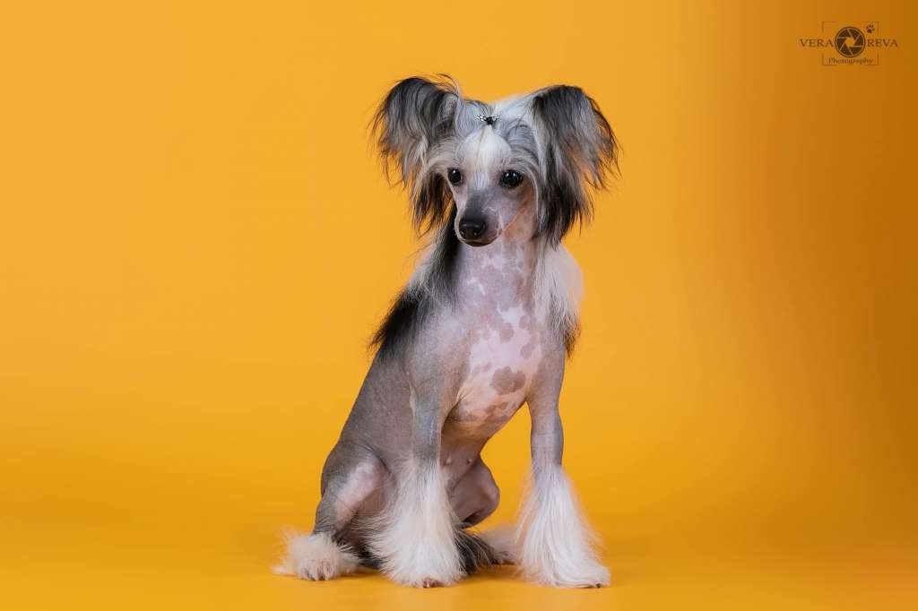 Queensway Grace Forever