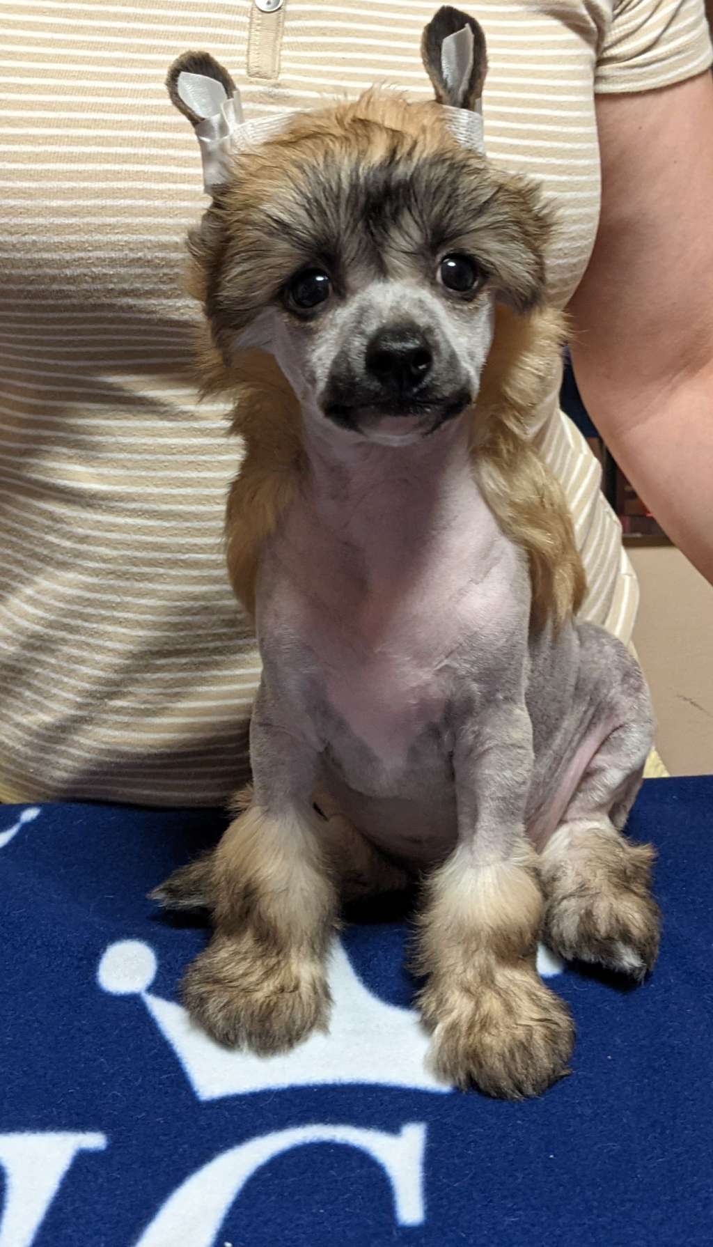 Lucky Leonardo Di Rabozi