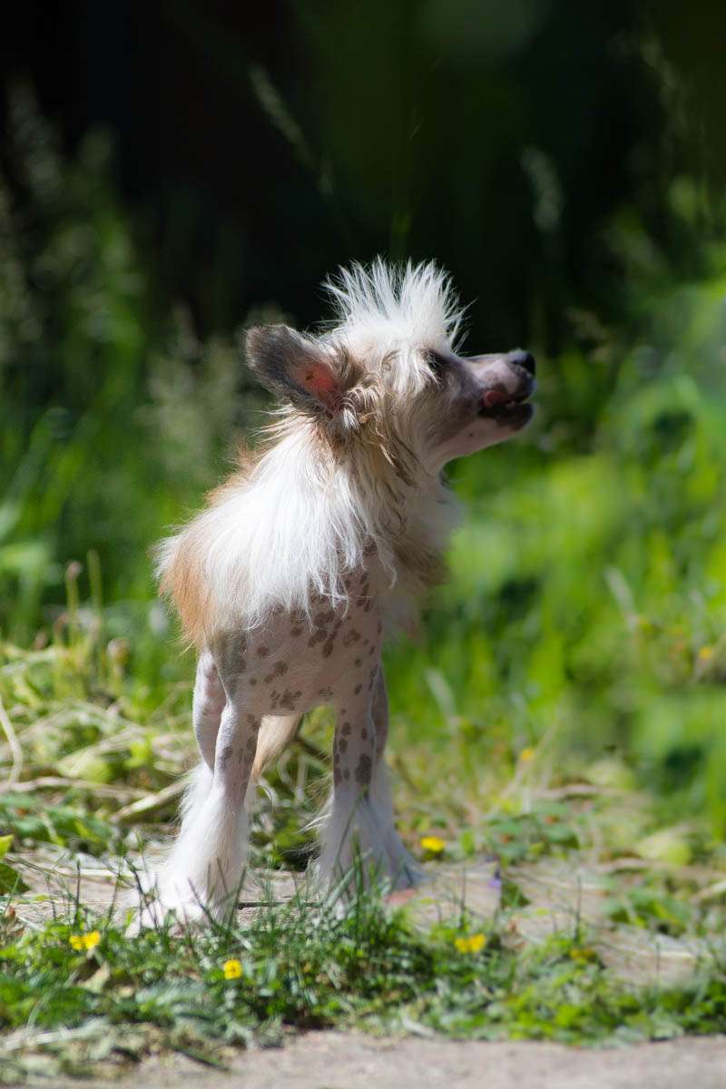 Absolut Harmony Bavaria