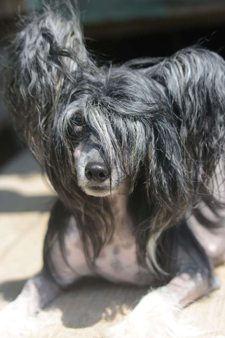 Absolut Harmony Barselona