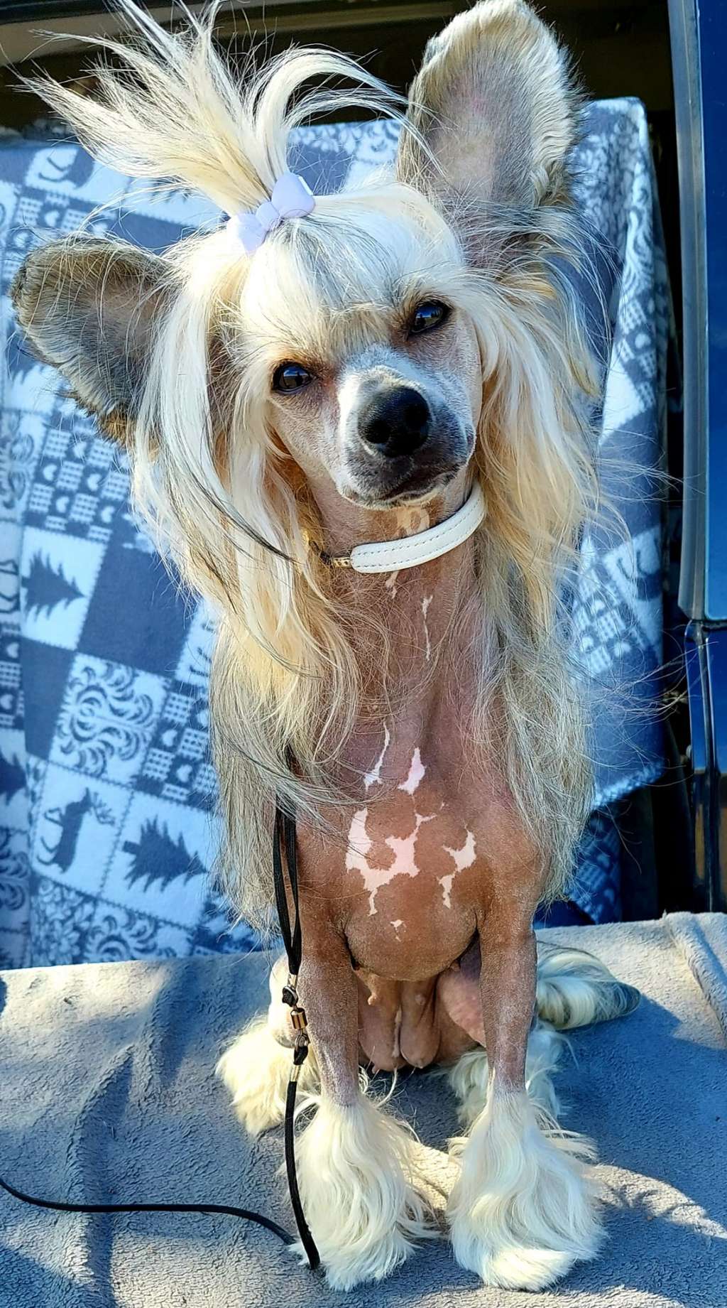 Concrete Clouds Bora Bora Bitch