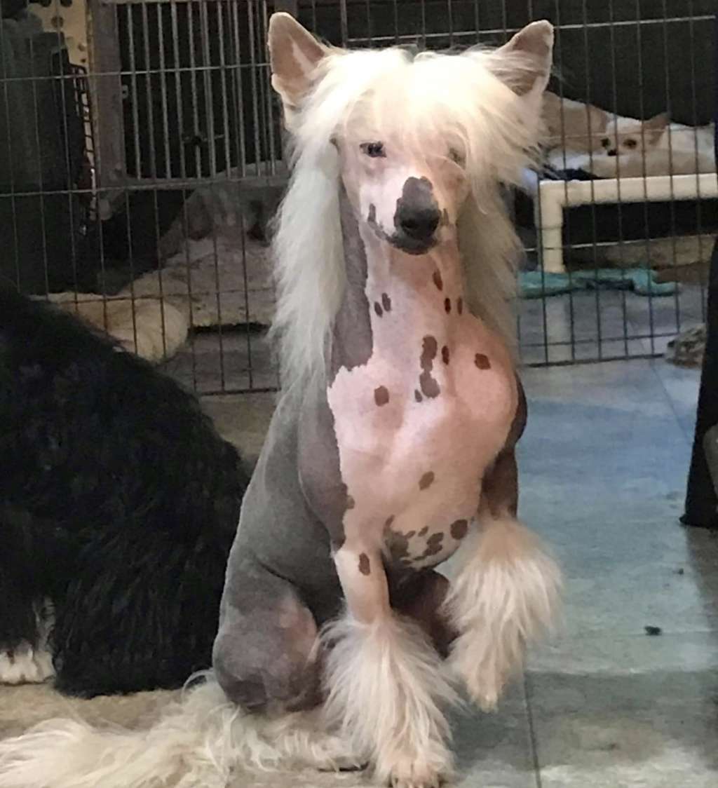 Flying Colors Seperate Ways