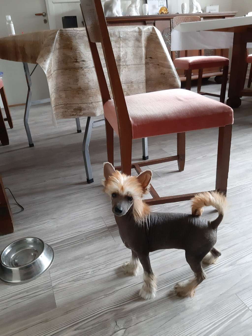 Beachcrest Hell Is For Heroes