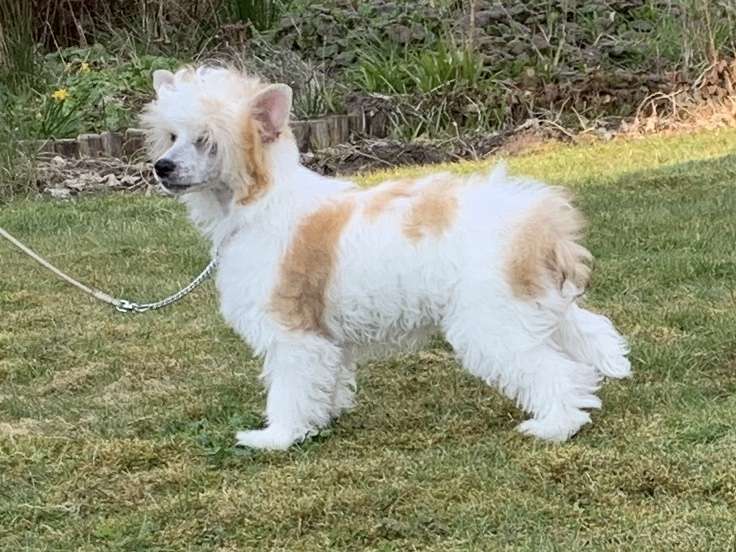 VanHasta Annie Which Way