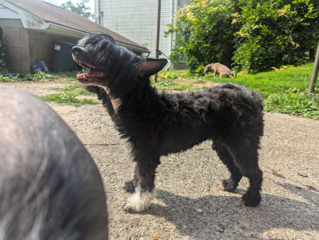 Long Haul's All Gnawing and Wise