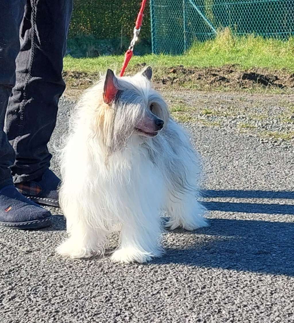 Zero Tolerance United Colors