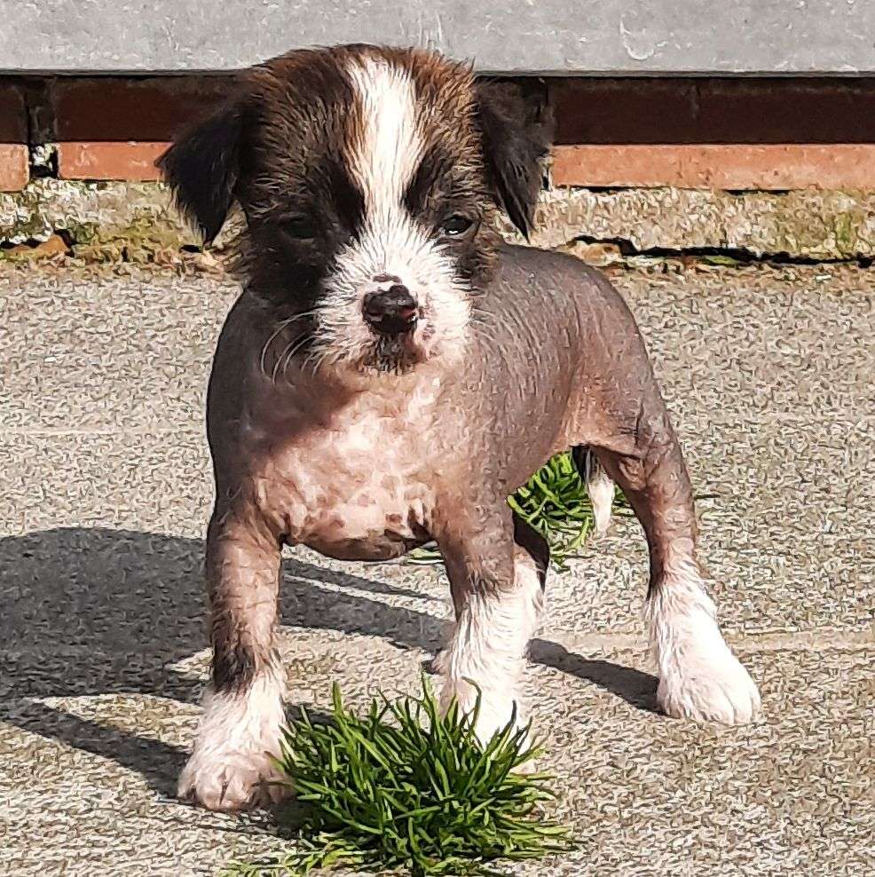 Zero Tolerance Under Suspicion