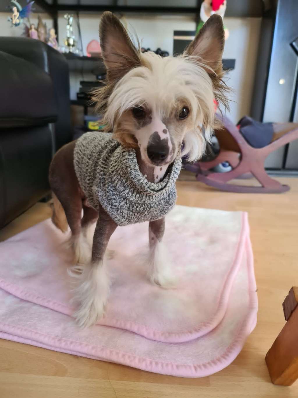 Im sexy and I know it