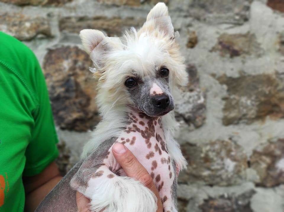 Il était Une Fois U Are My Joy