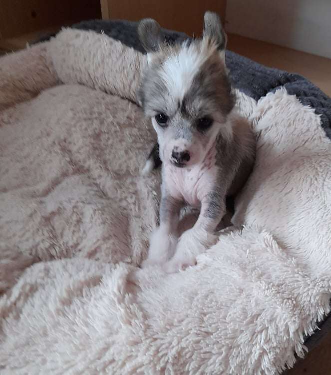 Barbara-Ashey Rodyry