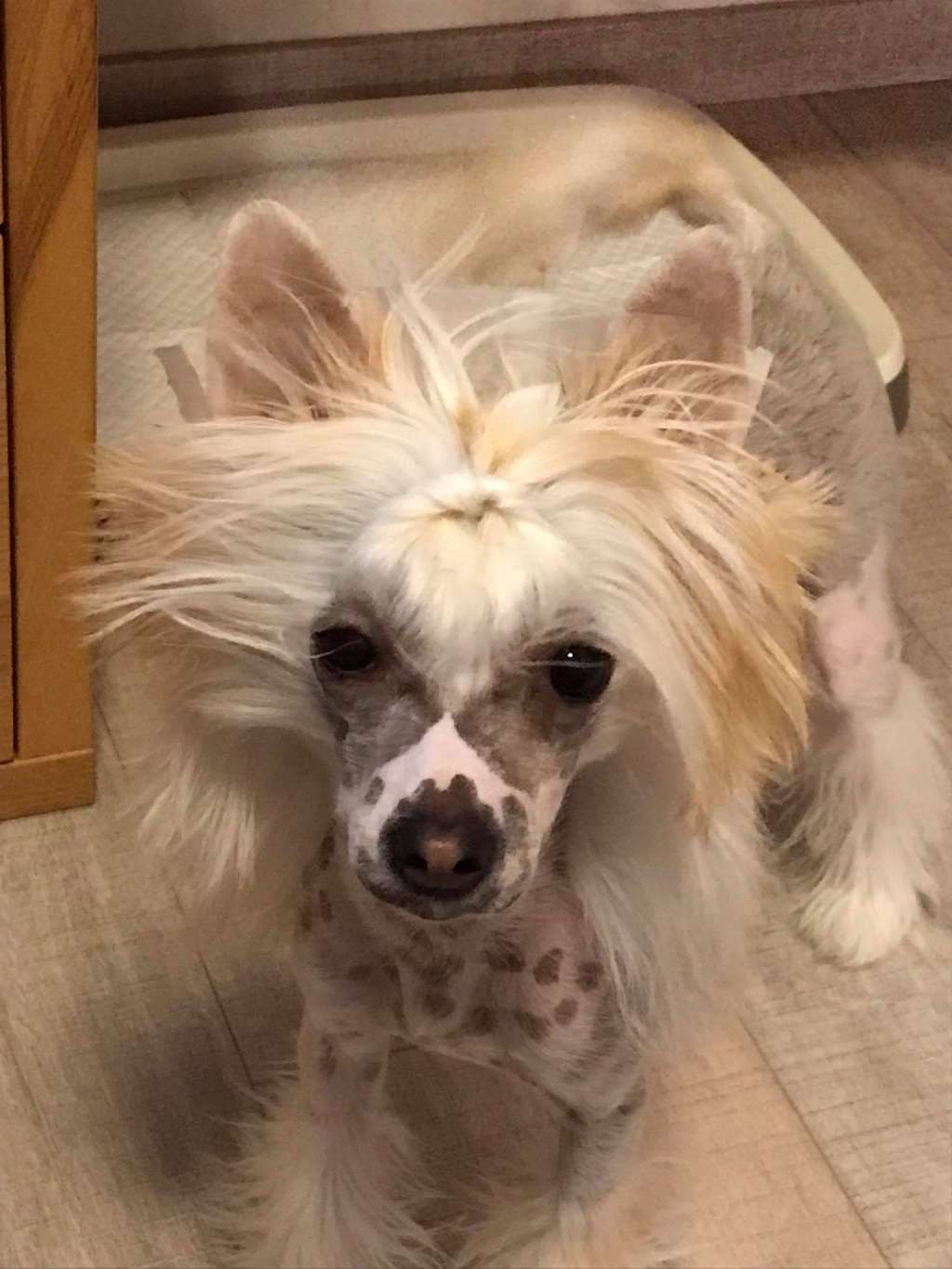 Il était Une Fois U Are My Everest