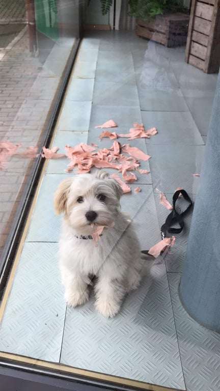 Il était une fois you are my beauty solar