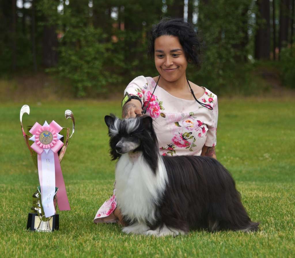 Ensidias King Of Queens