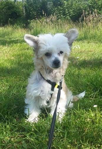 Talk To Me of Angel's Legacy