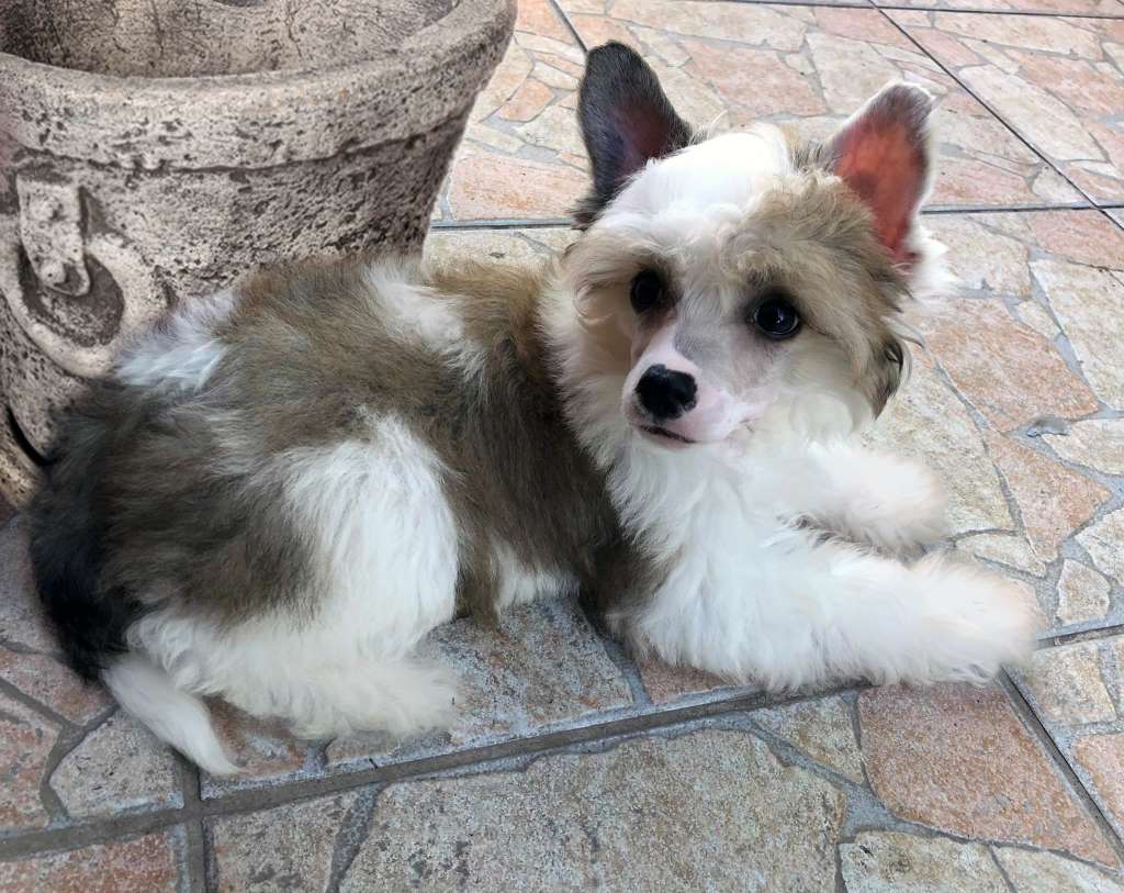 Fundoklia-völgyi Kaszanics Tornadó