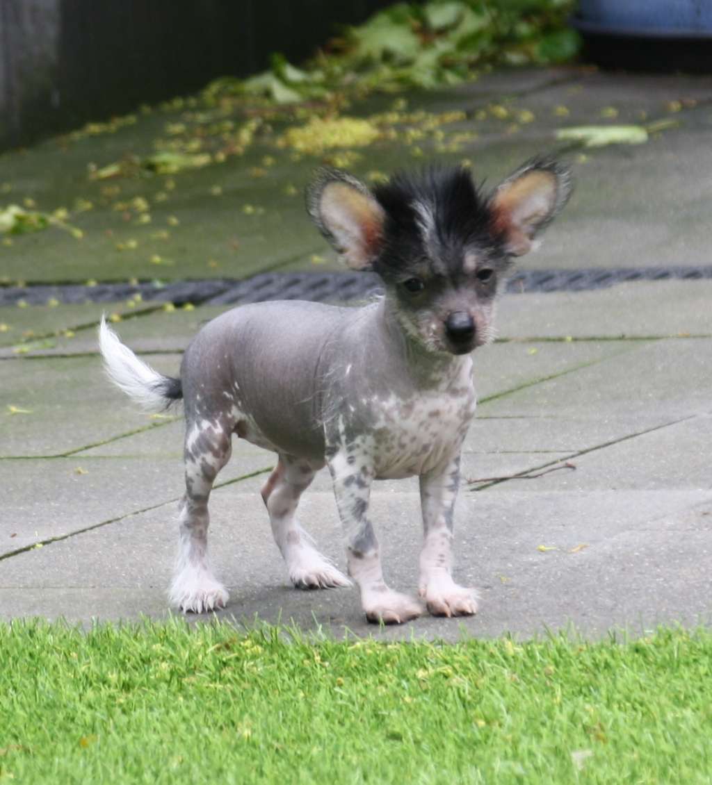 Under My Spell of Angel's Legacy