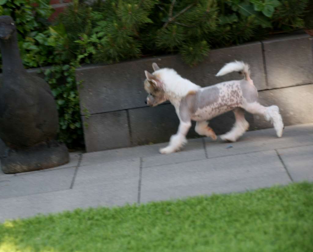 Untold Story of Angel's Legacy