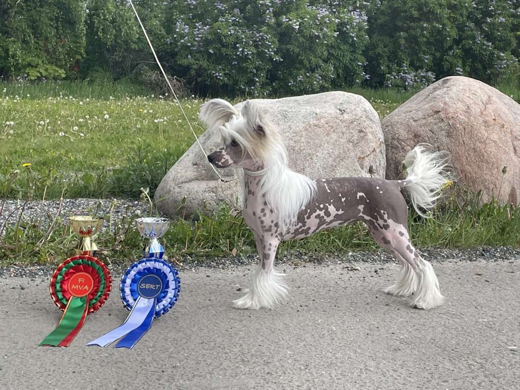 Maybell's Practical Joke