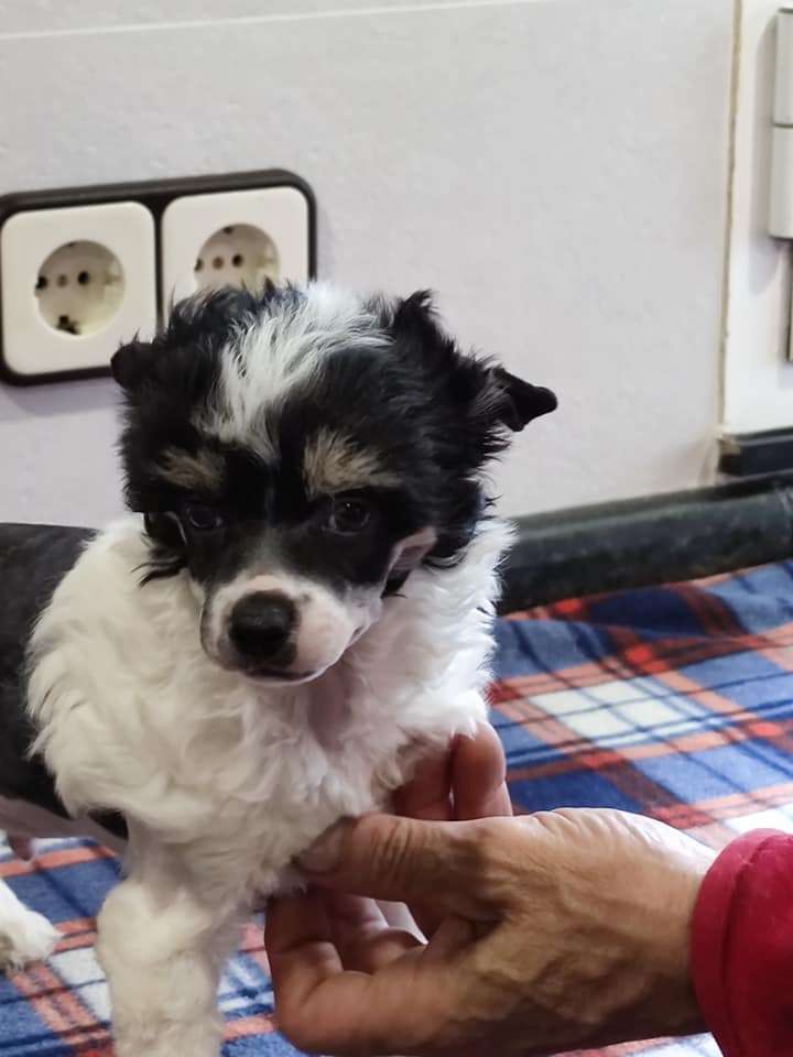 Xmas hero de Almamasan