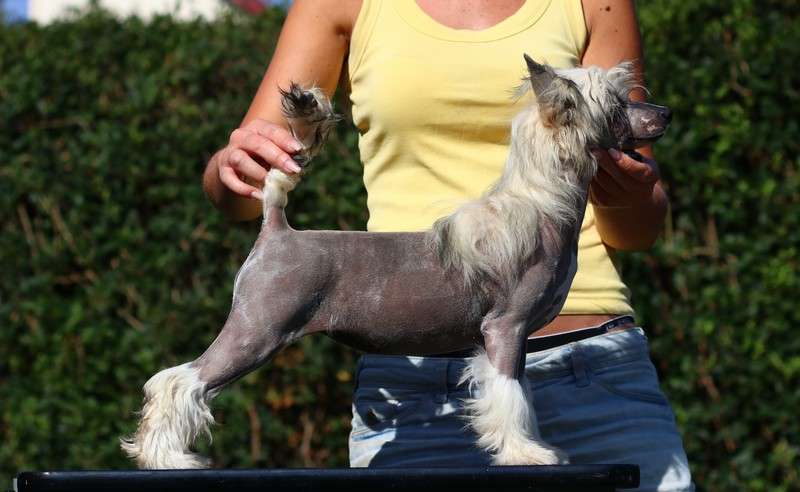 Ecstasy Libre Gattaca