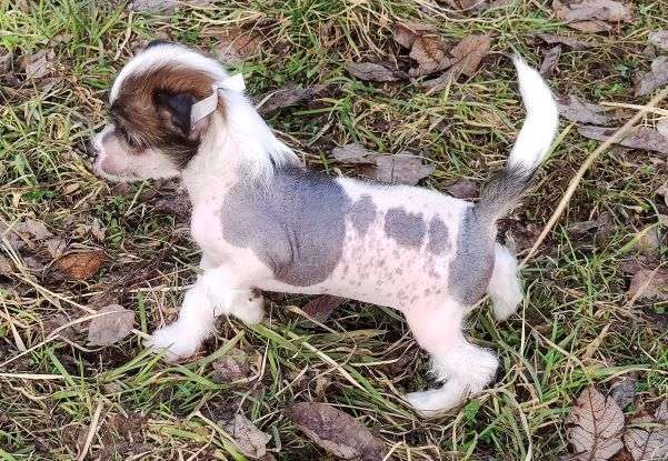 Grafitti Lukas Pompinell'