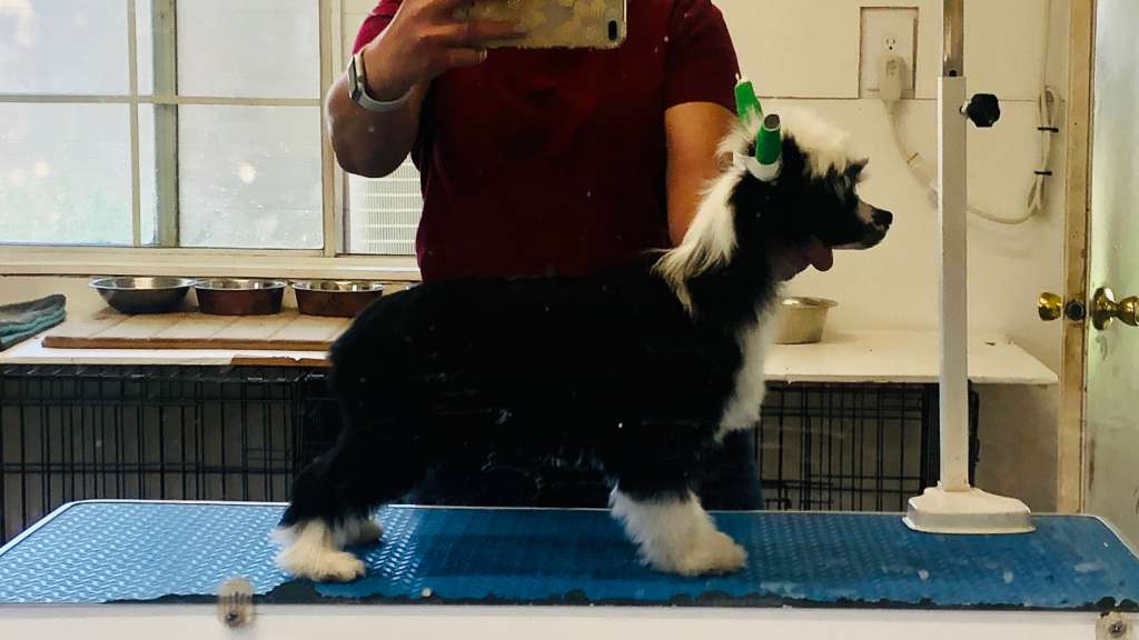 SHA I Guess Youre Stuck With Me