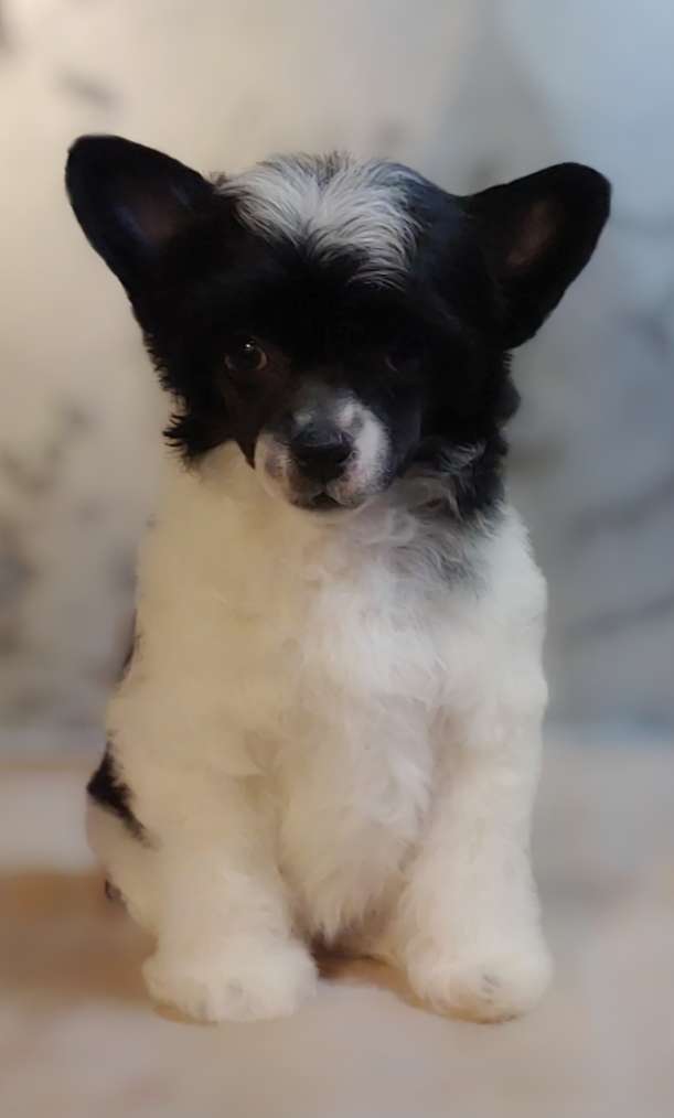 Nv and Valour's Are We There Yet