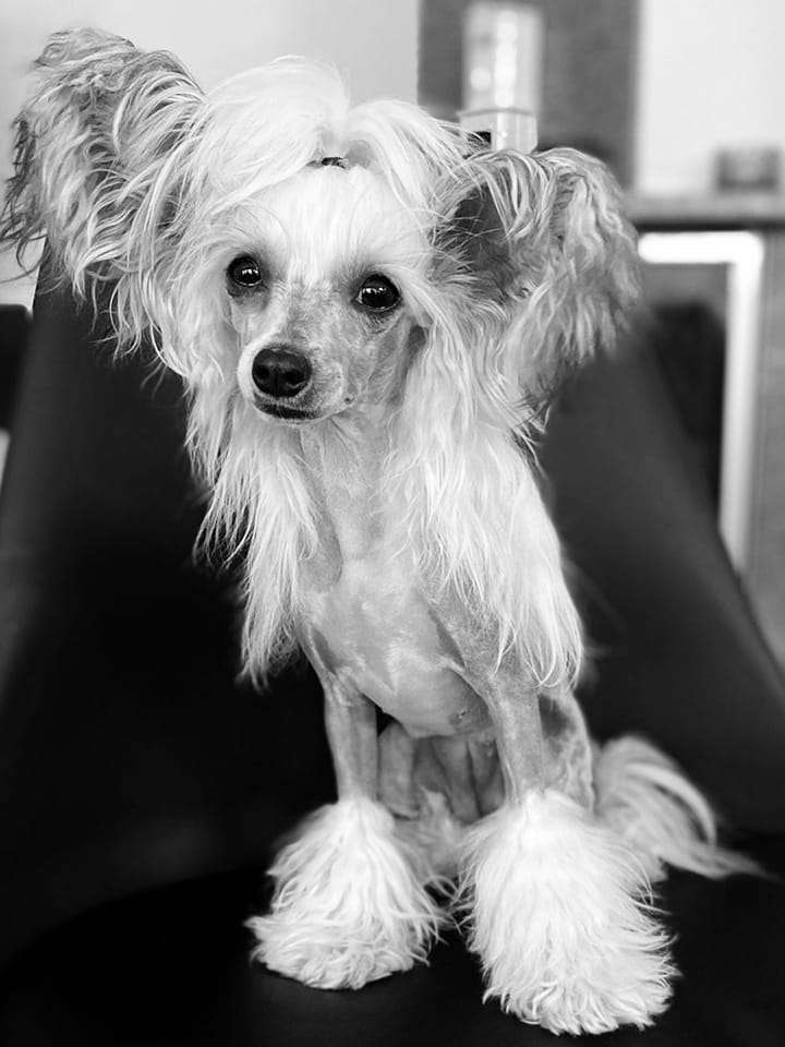 Concrete Clouds She's A Keeper