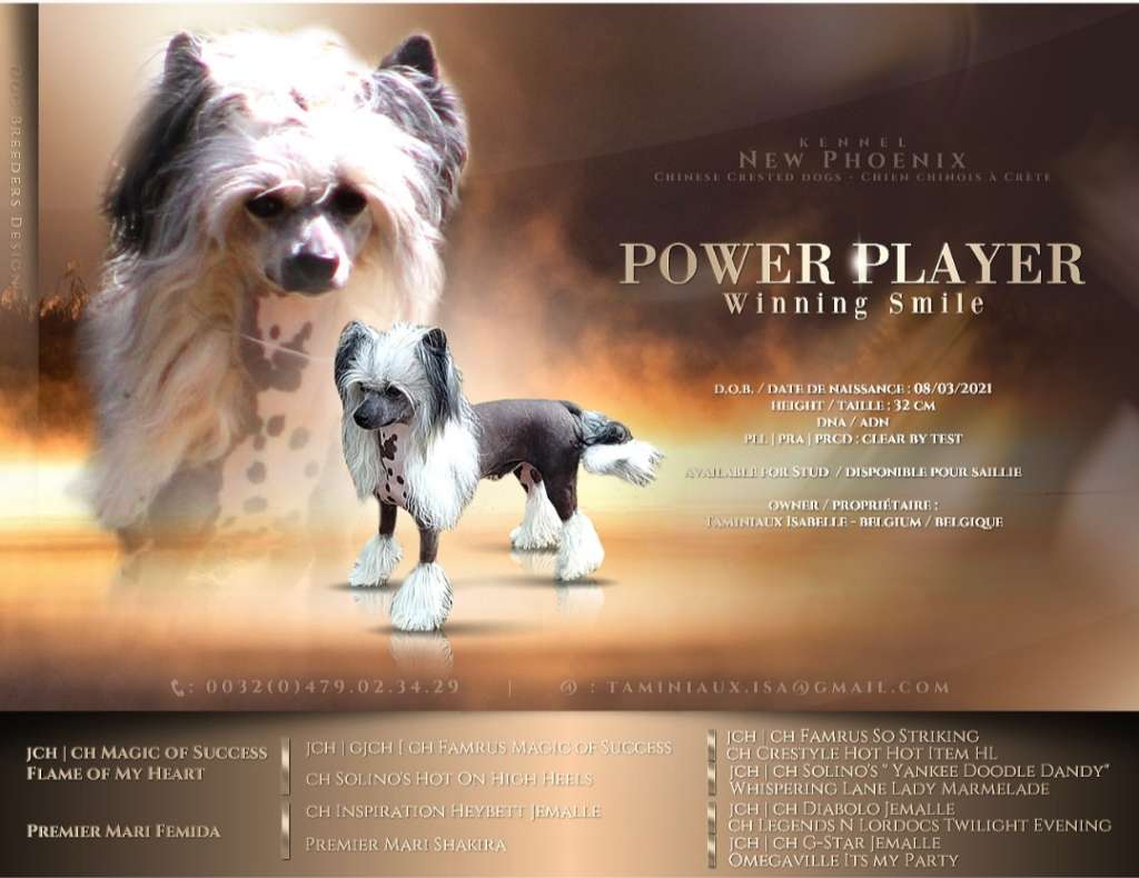 PowerPlayer Winning Smile