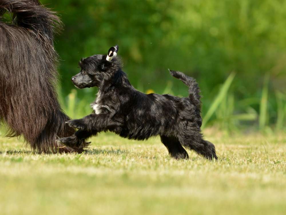 Infinity ze Zatopené chajdy