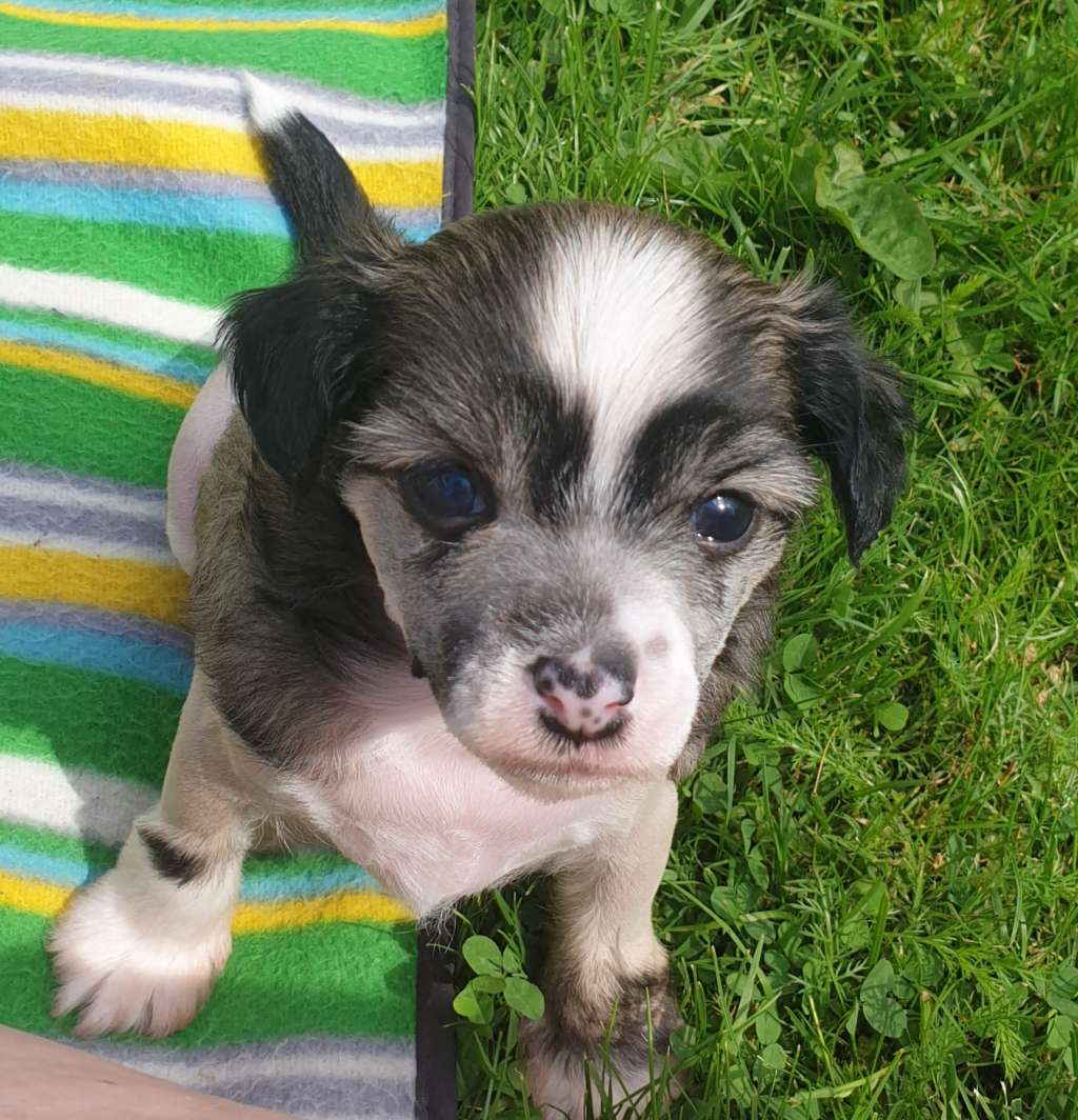 Epadalens Pour Some Sugar On Me