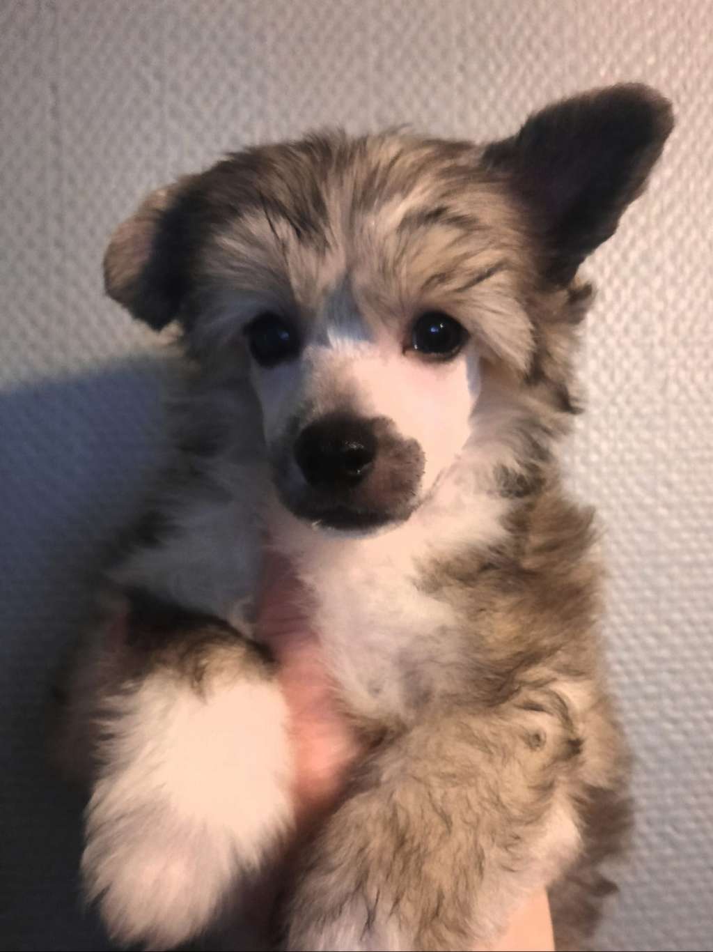 Concrete Clouds Truly Yours