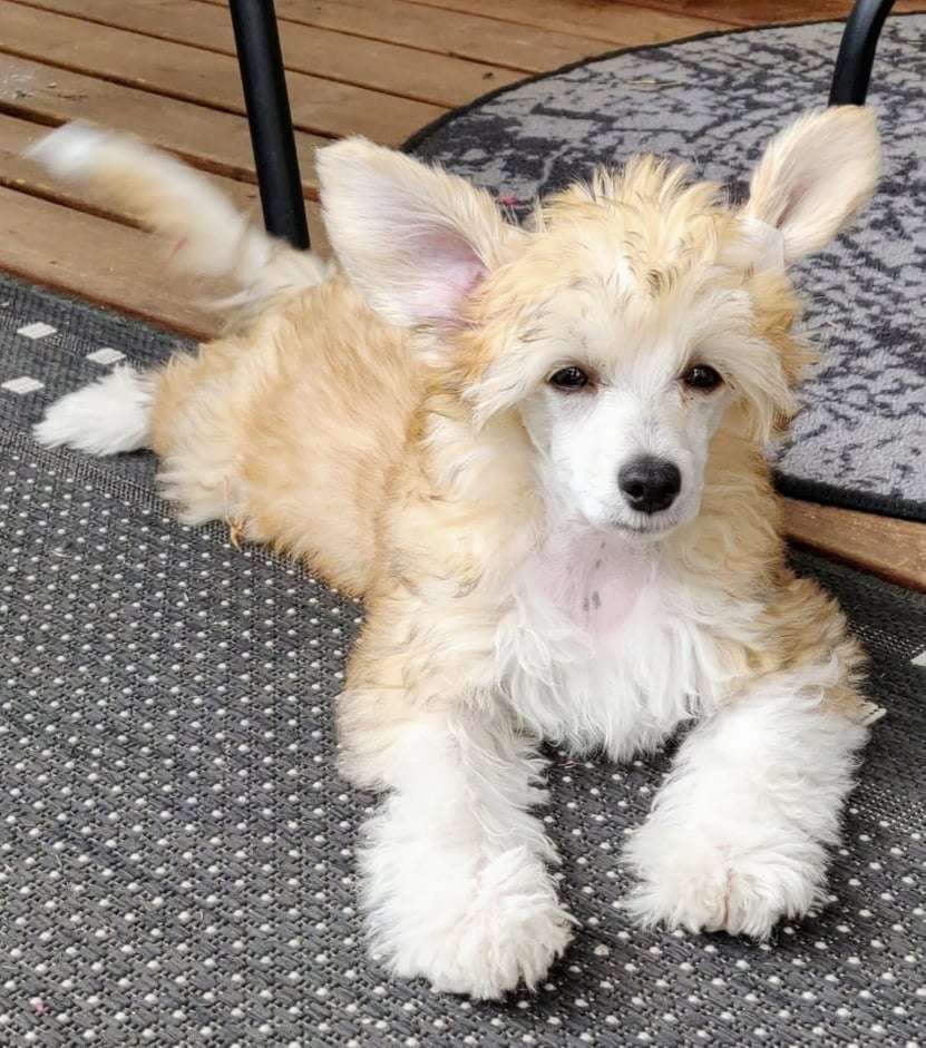 Concrete Clouds Great Minds Think Alike