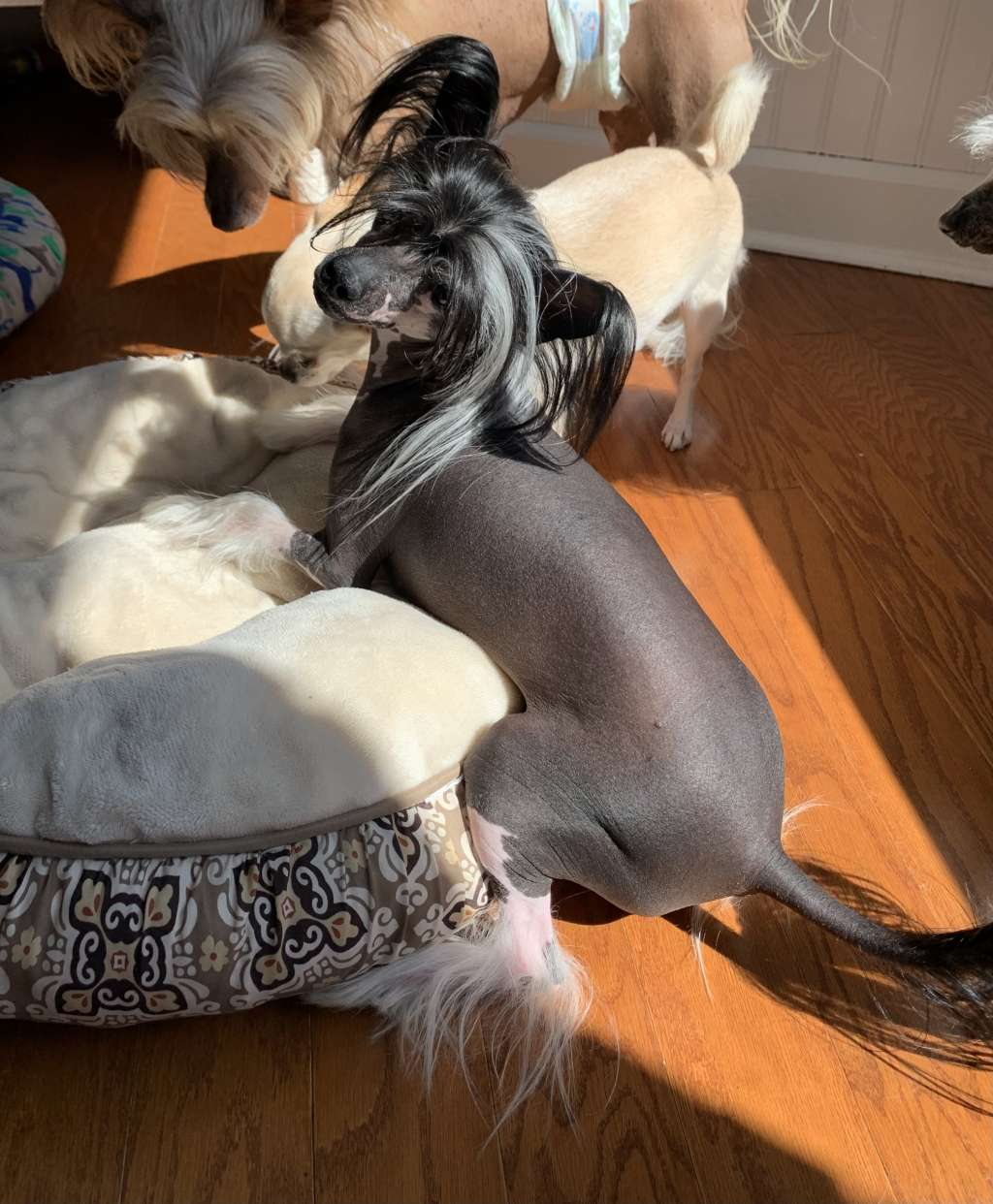 Jewels Keep The Party Going