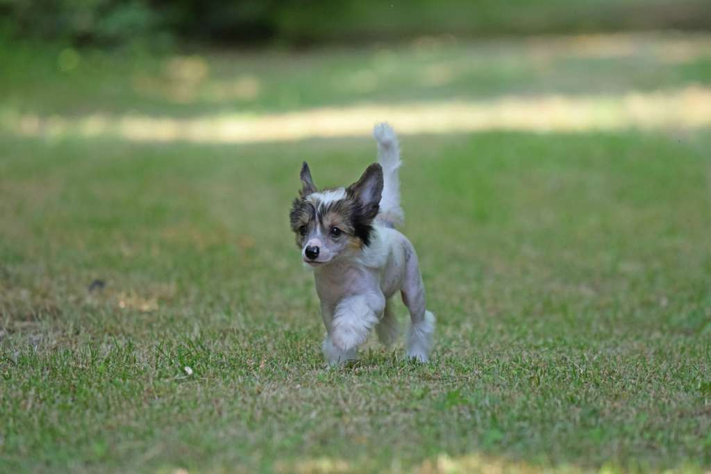 Dakota Rose Love is in the Air