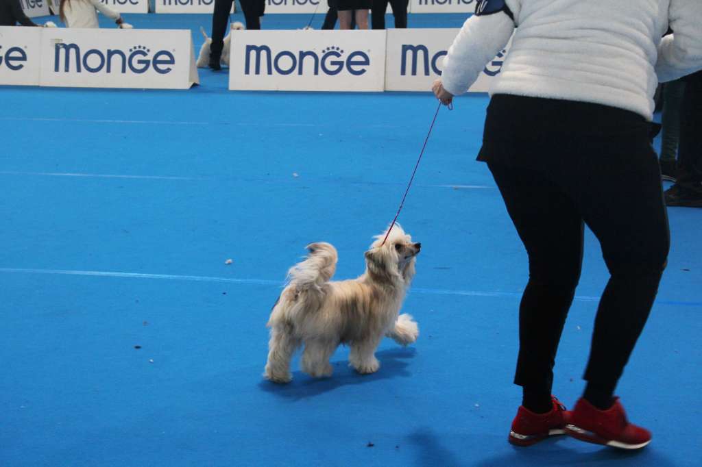 Dakota Rose Come Per Incanto