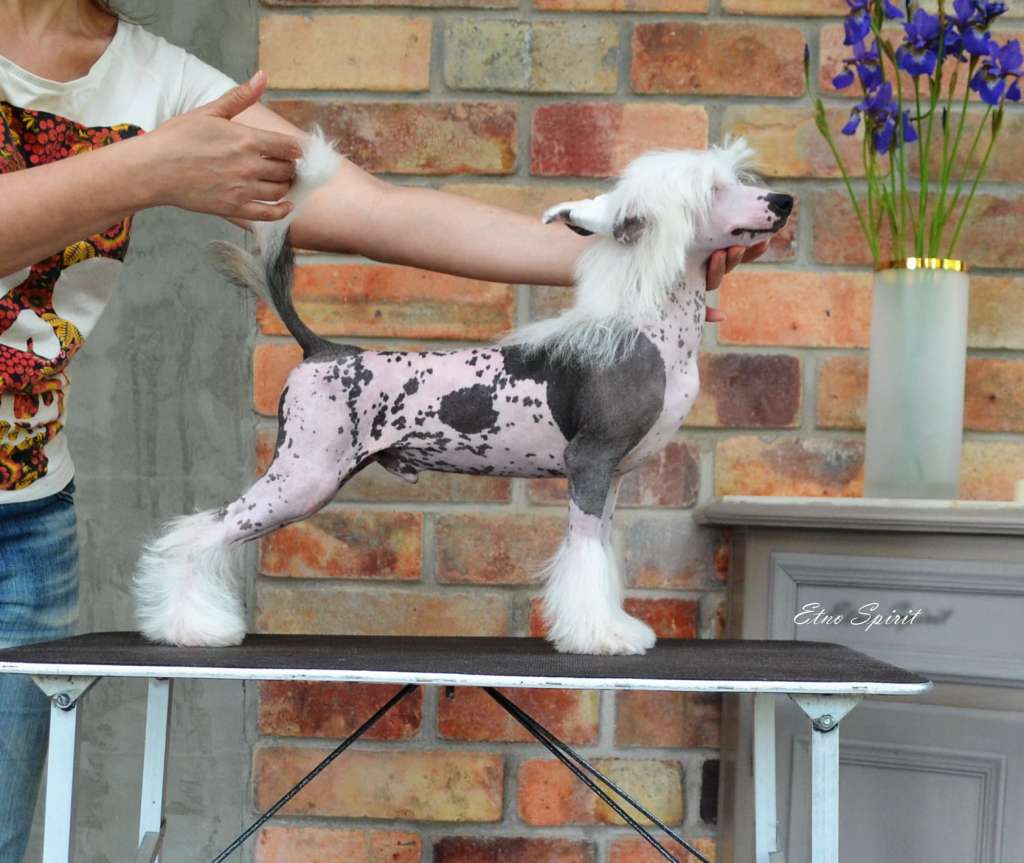 Etno Spirit  Make  Me  Smile