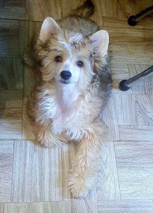 Kidsolarus Cvetana  Sunny Smile