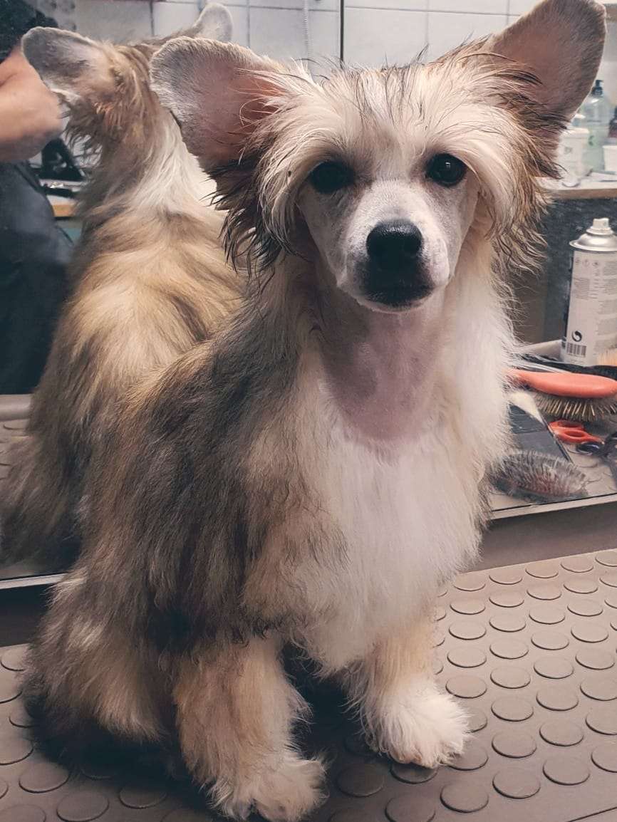 Jean Dark Zay My Name