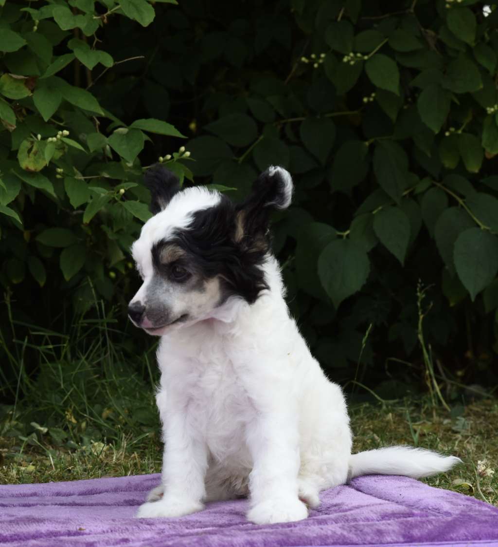 Nomilas Milky Way The Only Way