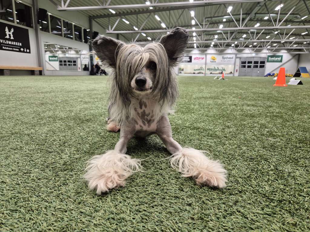 Nomilas Nothing Like This Storm