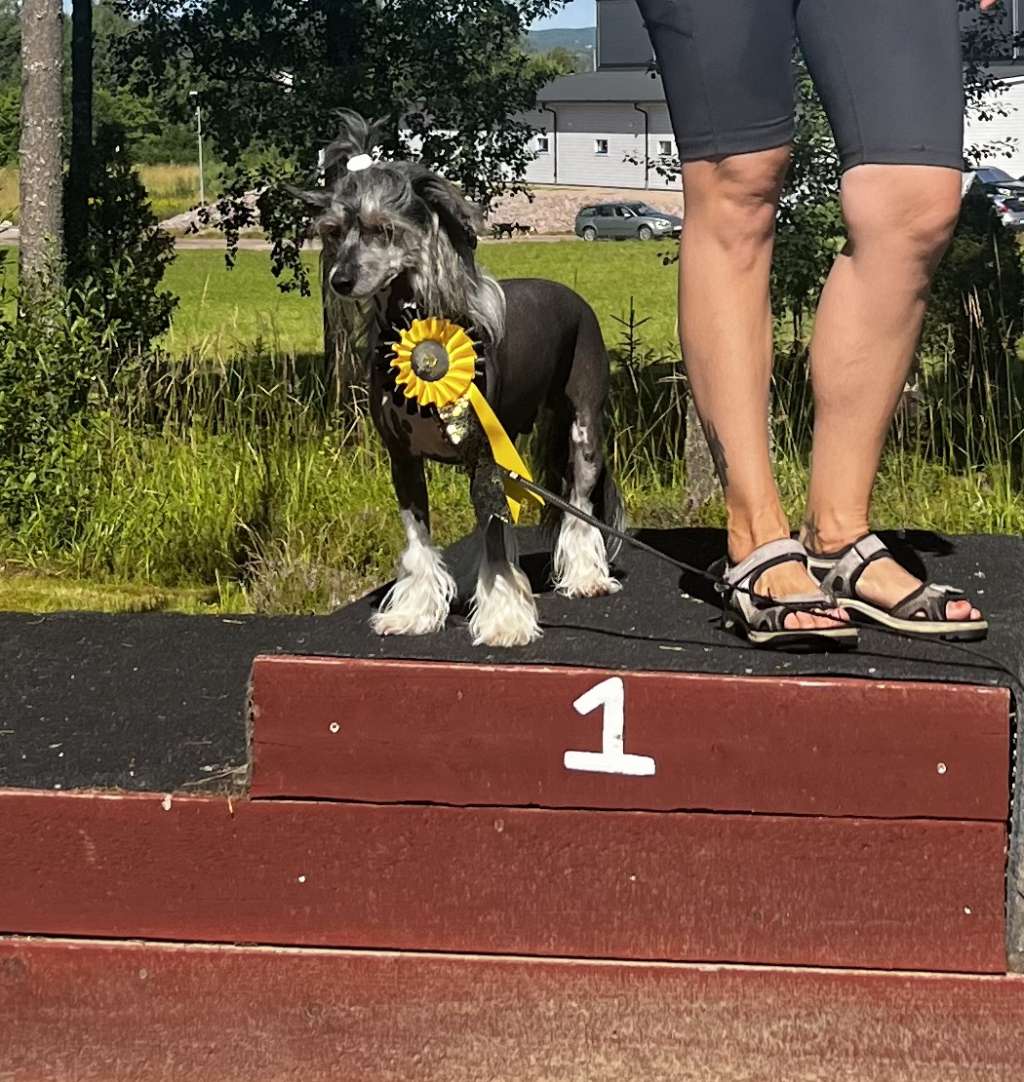 Nomilas Natural Power