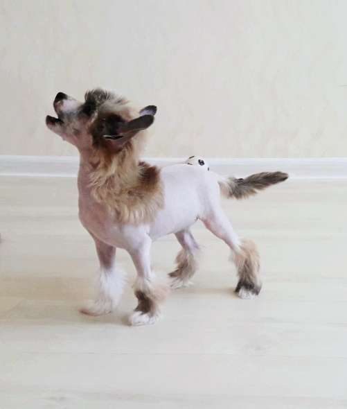 Art Rebellion Bishamon No Ko