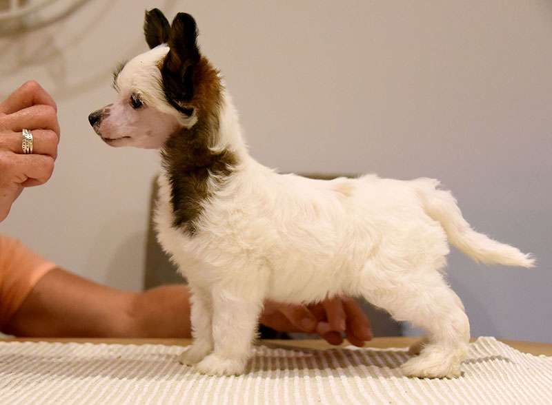 Jean Dark You Can't Hide Beautiful