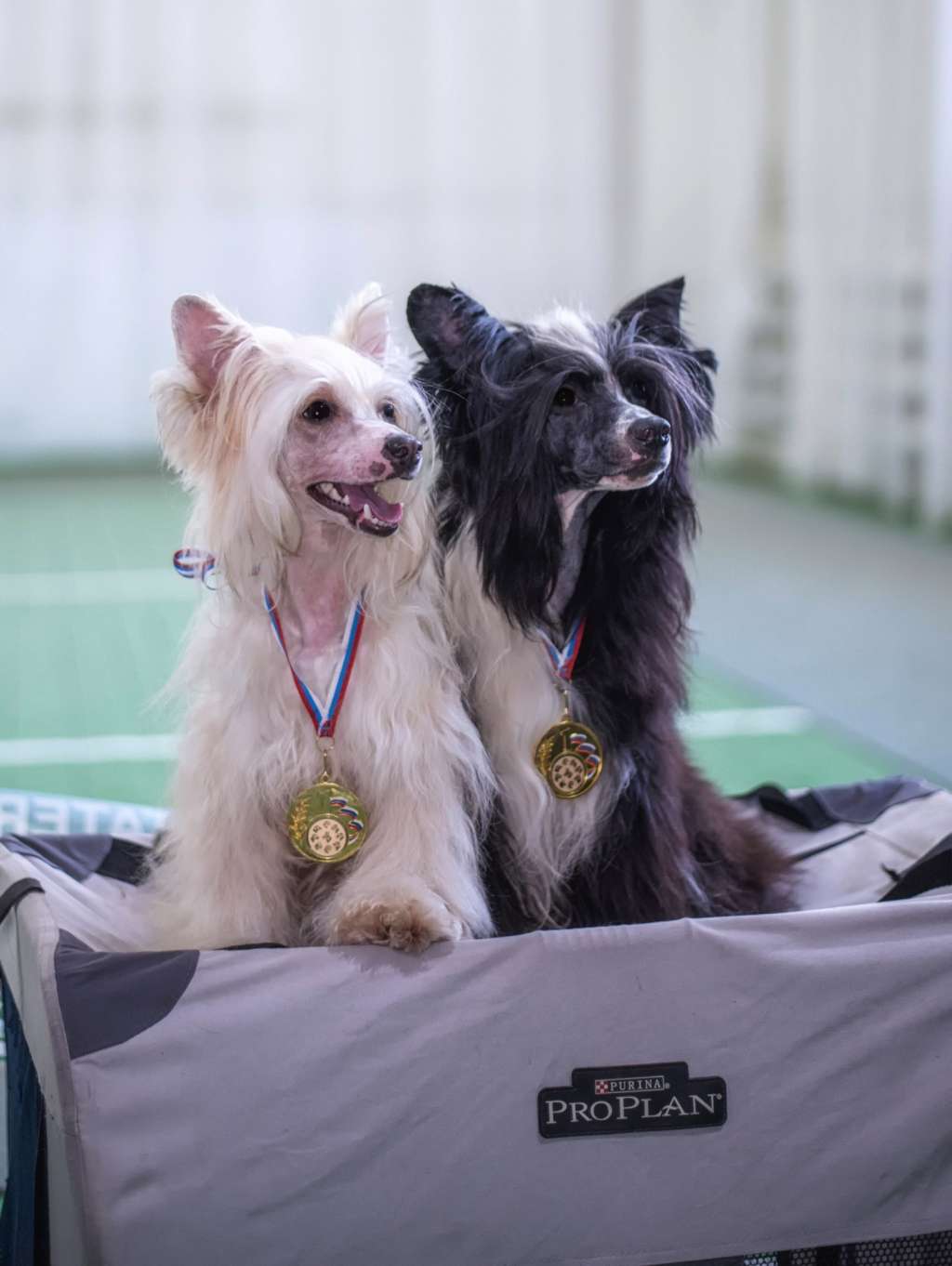 Landkris Kuin Of My Heart