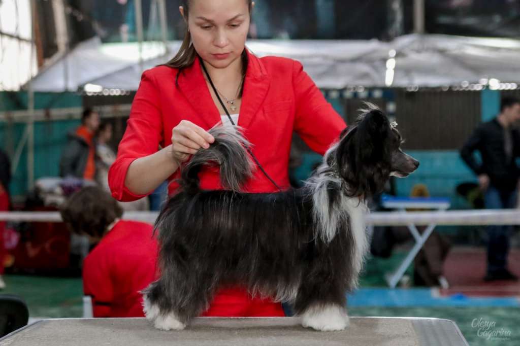 Baikal Dream Night Arkana