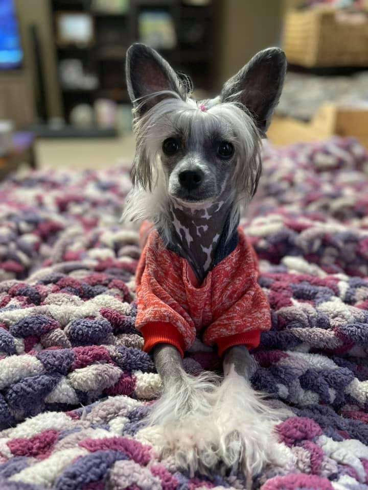 Taja Streak Free Guarantee