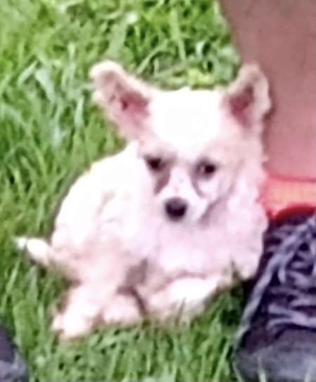 Yessica z Kamilova dvora