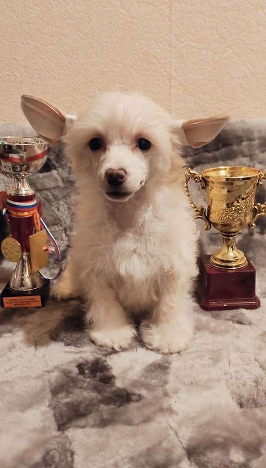 Family Mar'S Nikolas